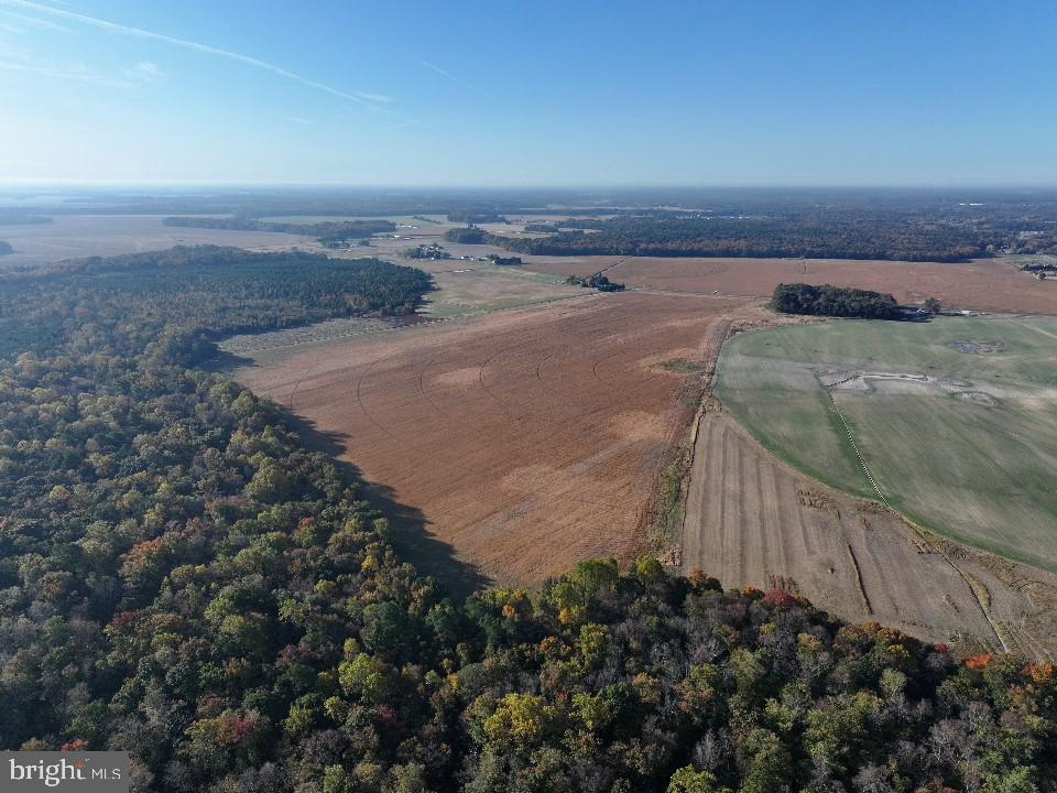 Houston Branch Road, Federalsburg, Maryland image 5