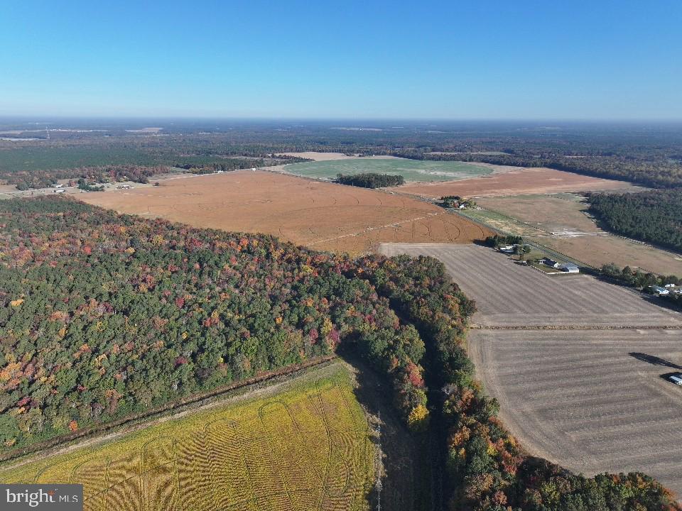 Houston Branch Road, Federalsburg, Maryland image 6