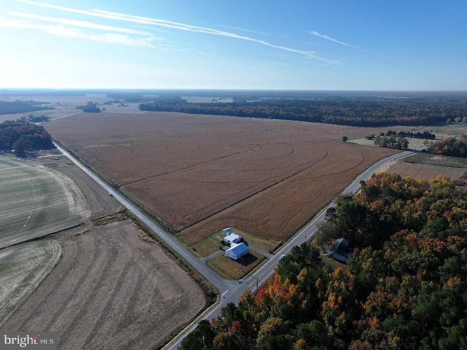 Houston Branch Road, Federalsburg, Maryland image 8