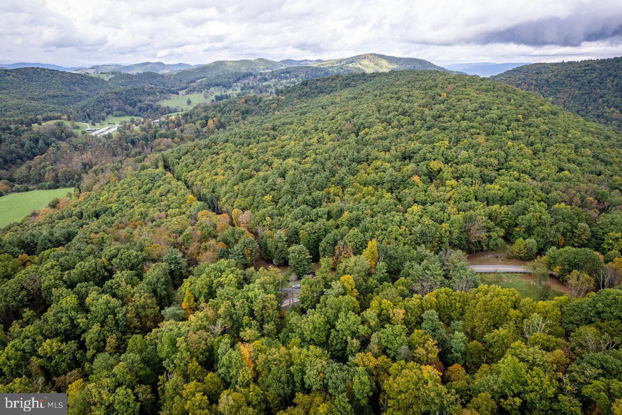 Dry Run Road, Sugar Grove, West Virginia image 23