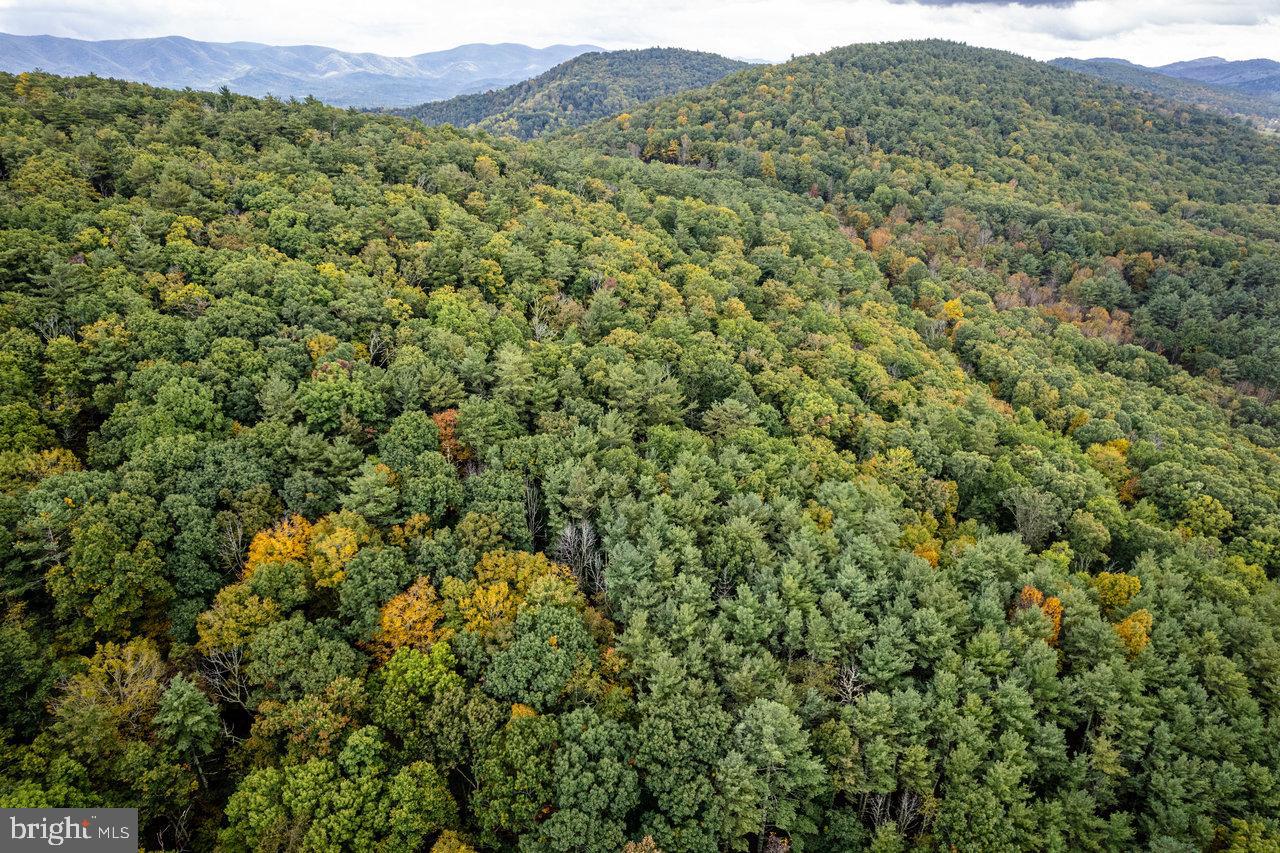 Dry Run Road, Sugar Grove, West Virginia image 18