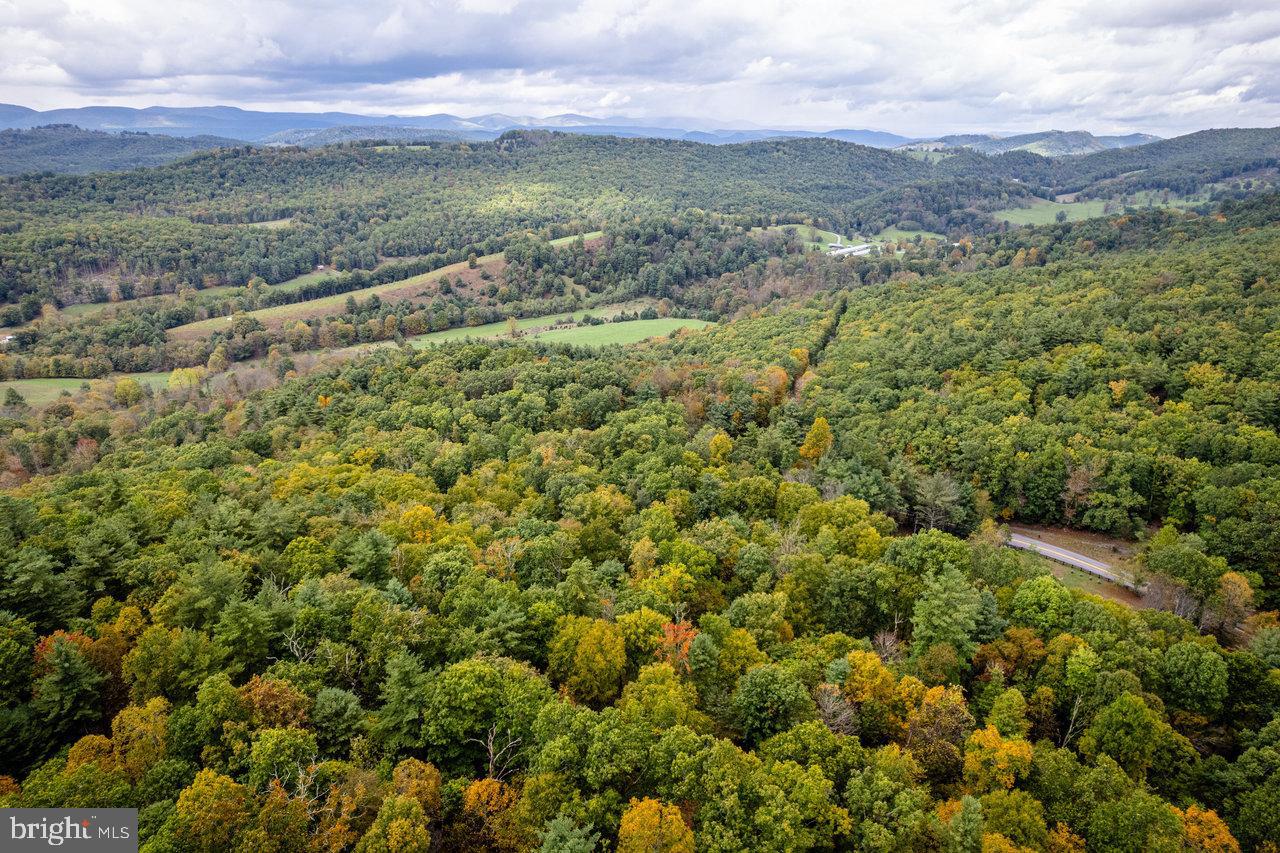 Dry Run Road, Sugar Grove, West Virginia image 27