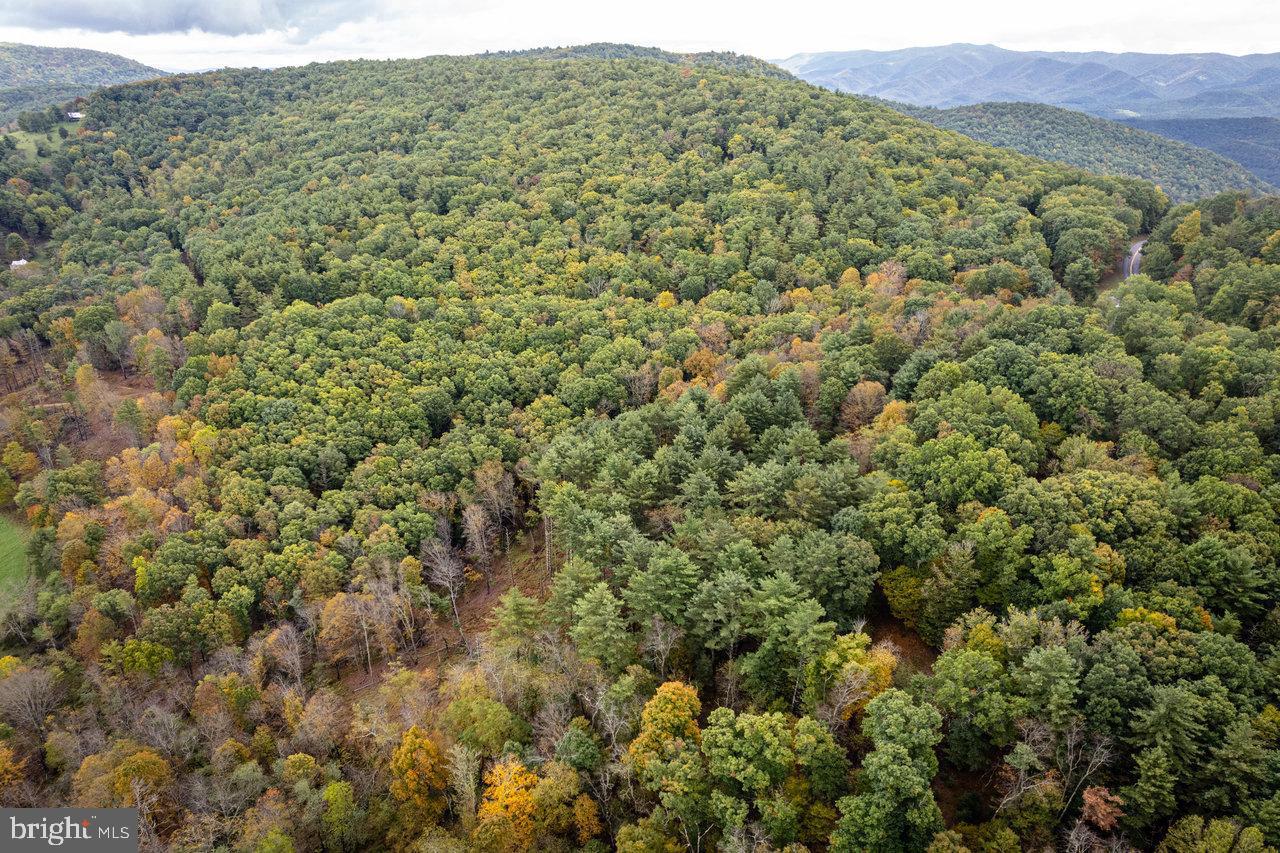 Dry Run Road, Sugar Grove, West Virginia image 12