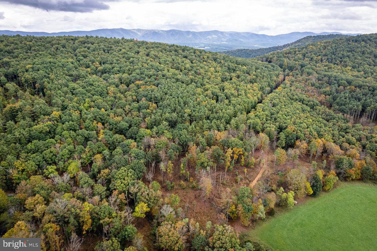 Dry Run Road, Sugar Grove, West Virginia image 21