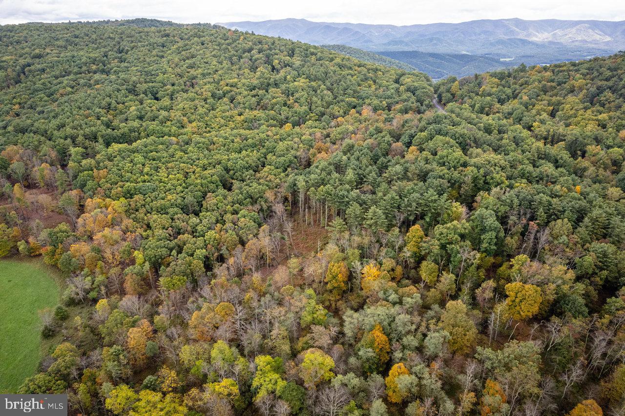 Dry Run Road, Sugar Grove, West Virginia image 15