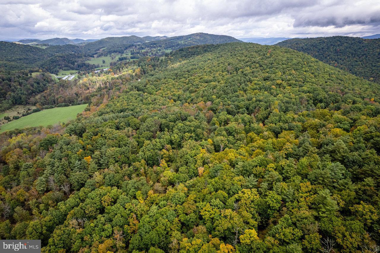 Dry Run Road, Sugar Grove, West Virginia image 29