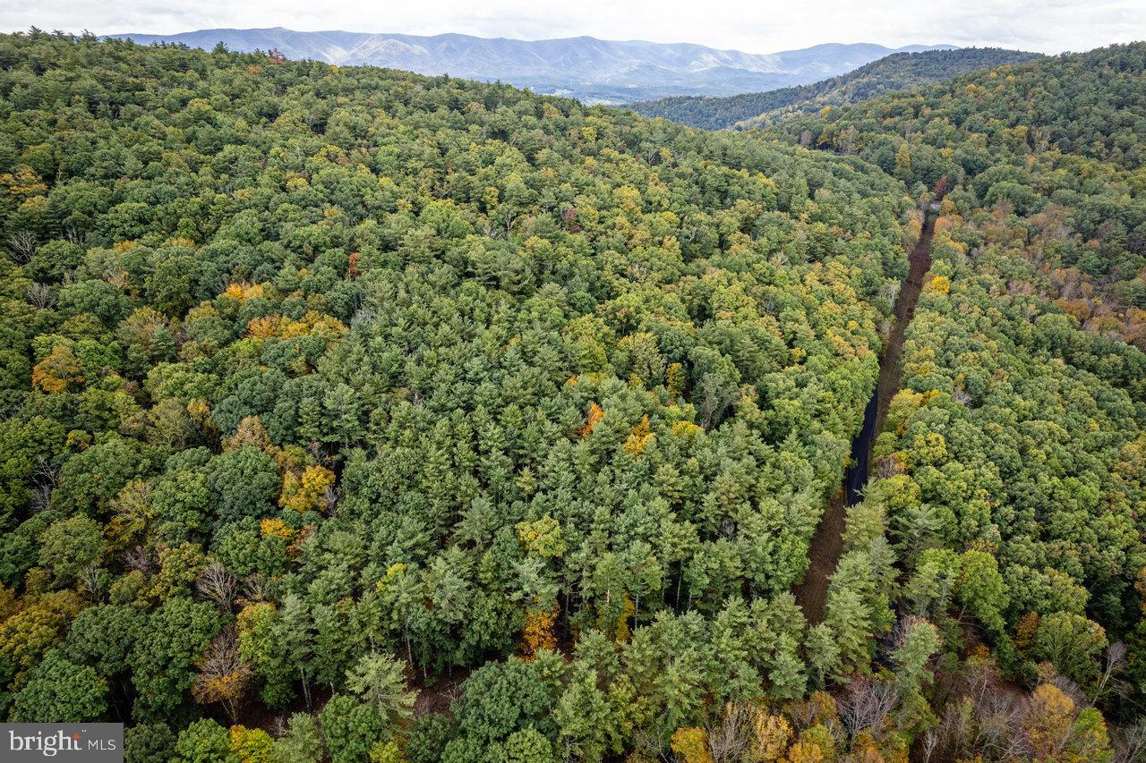 Dry Run Road, Sugar Grove, West Virginia image 17