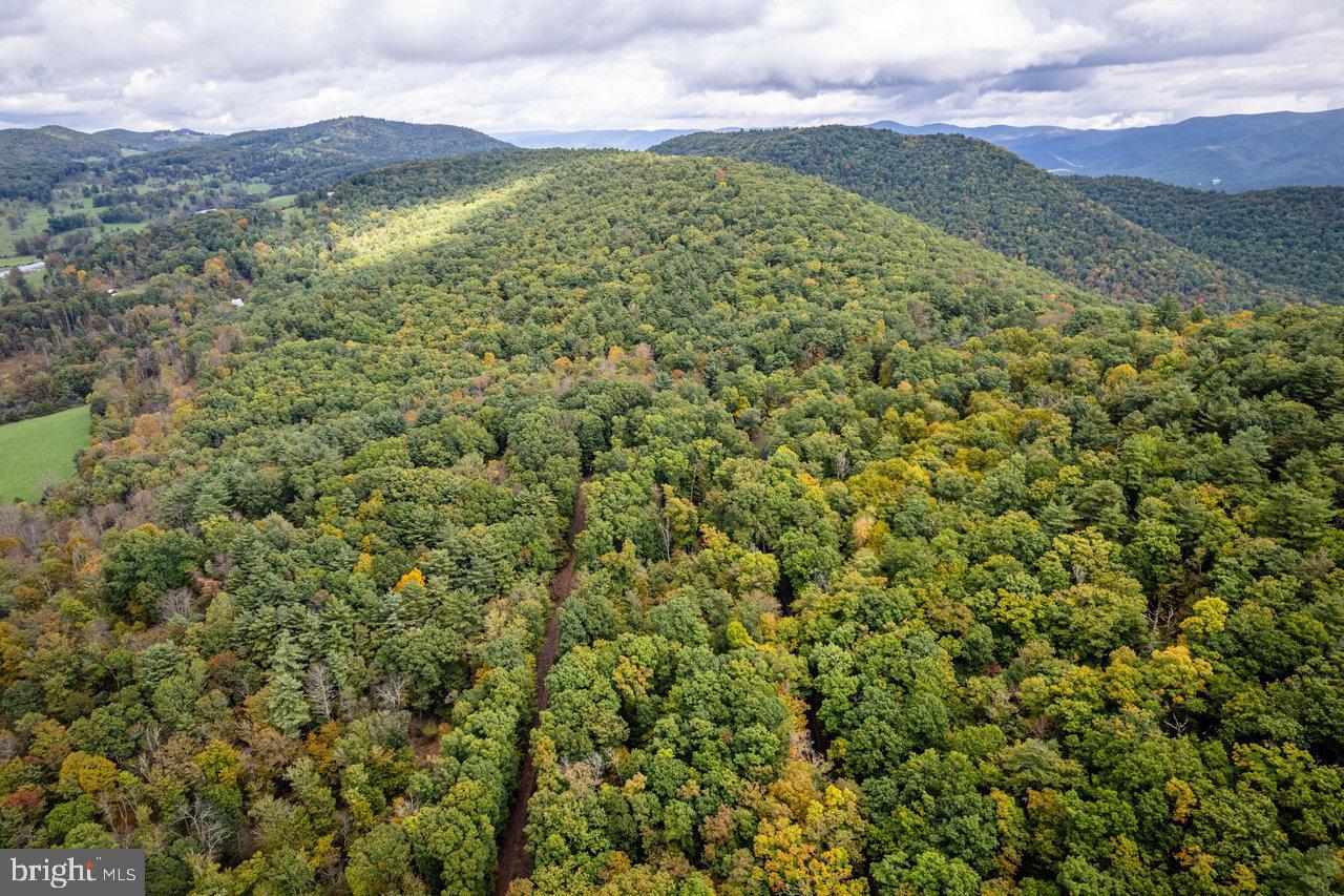 Dry Run Road, Sugar Grove, West Virginia image 30