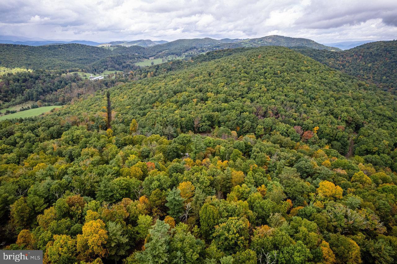 Dry Run Road, Sugar Grove, West Virginia image 26