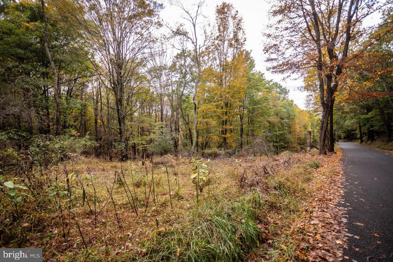 Dry Run Road, Sugar Grove, West Virginia image 7