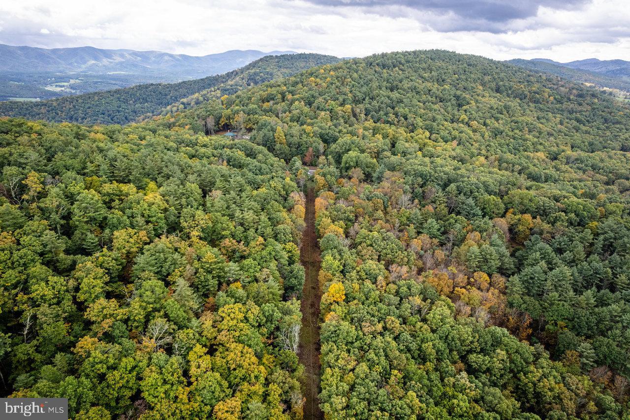 Dry Run Road, Sugar Grove, West Virginia image 19