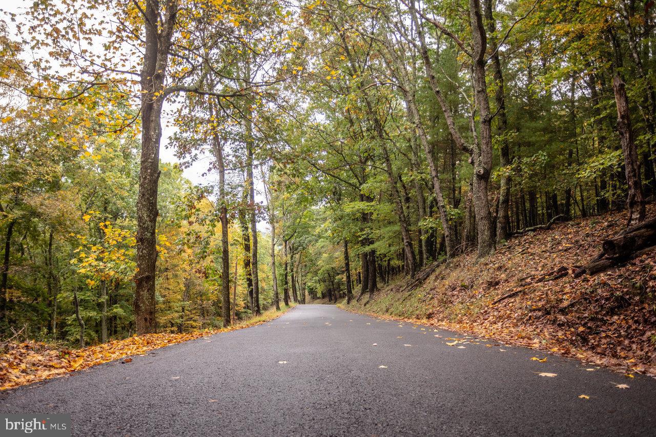 Dry Run Road, Sugar Grove, West Virginia image 9