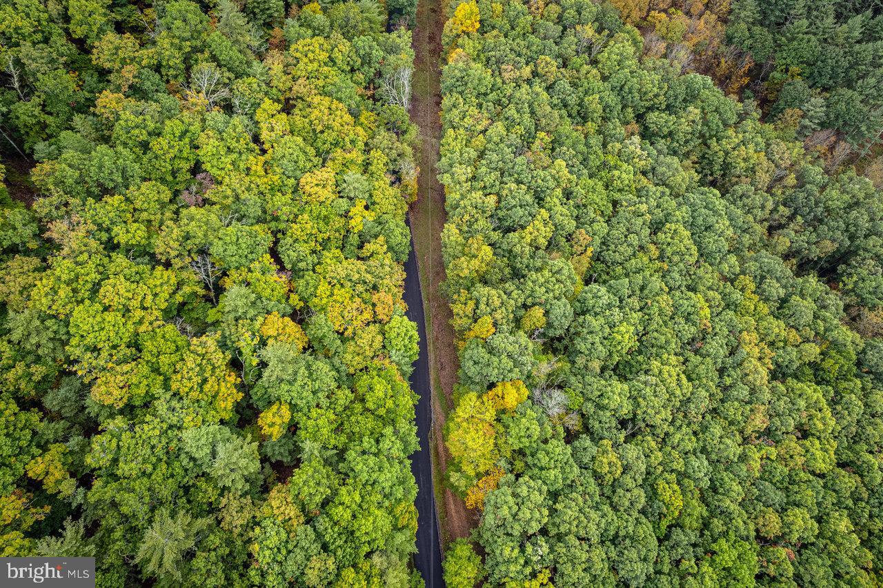 Dry Run Road, Sugar Grove, West Virginia image 20