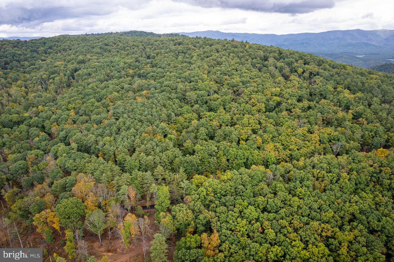 Dry Run Road, Sugar Grove, West Virginia image 22