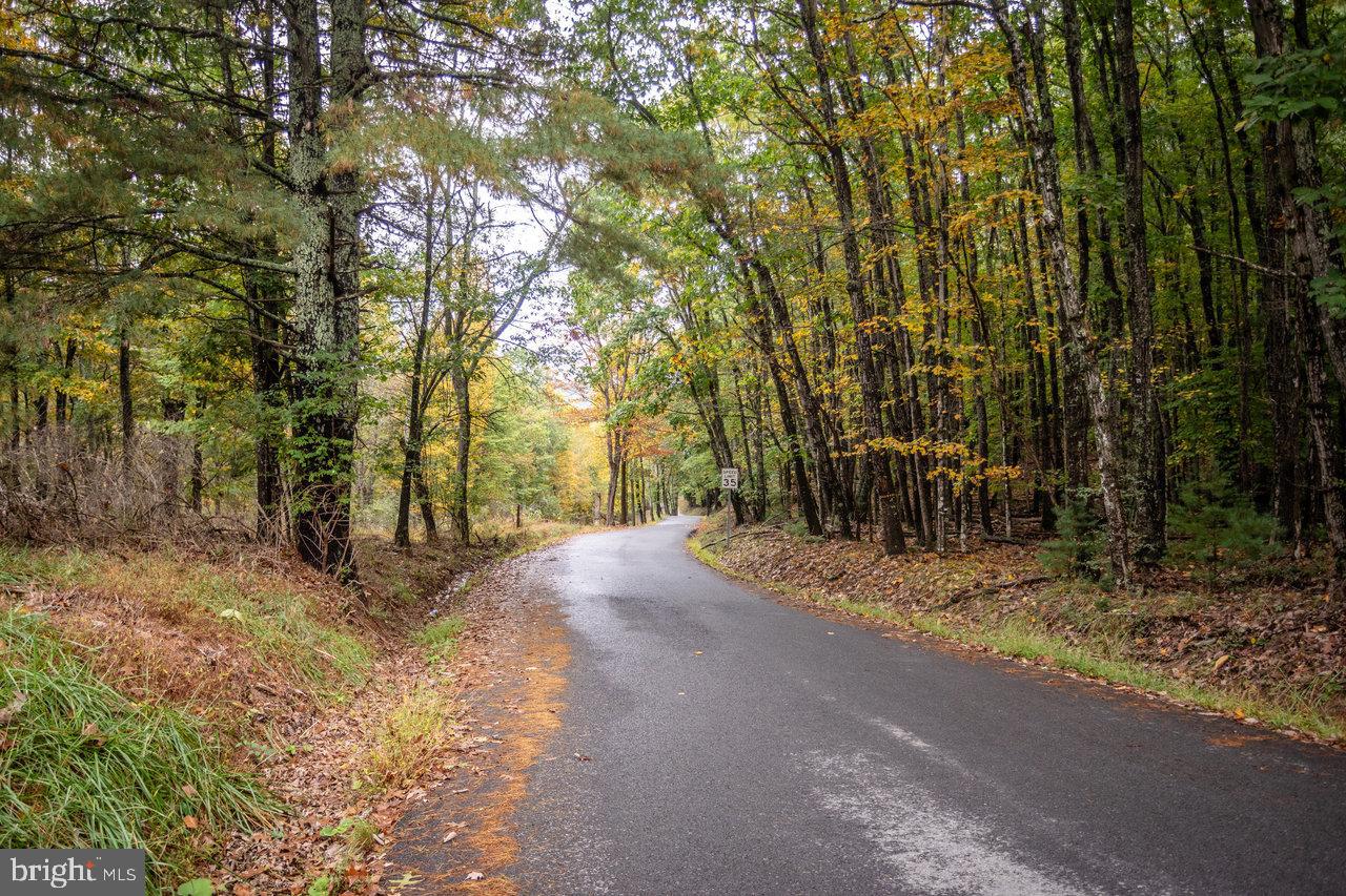 Dry Run Road, Sugar Grove, West Virginia image 2