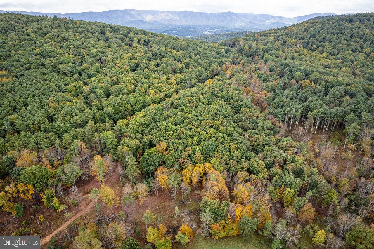 Dry Run Road, Sugar Grove, West Virginia image 16