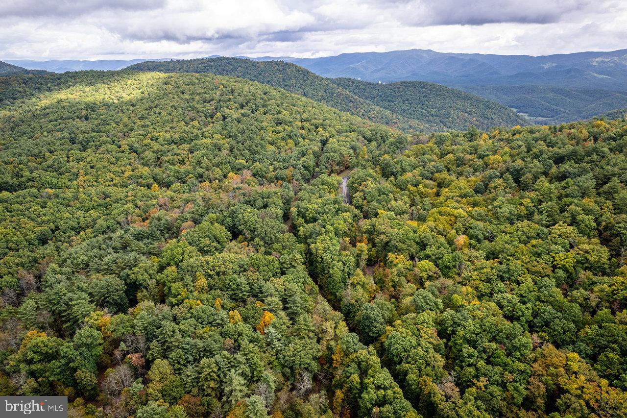 Dry Run Road, Sugar Grove, West Virginia image 31