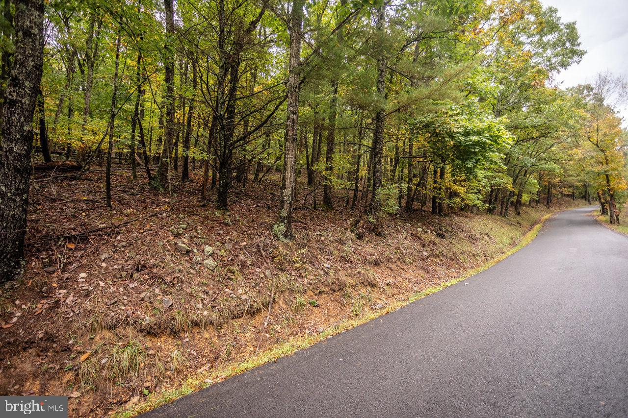 Dry Run Road, Sugar Grove, West Virginia image 10