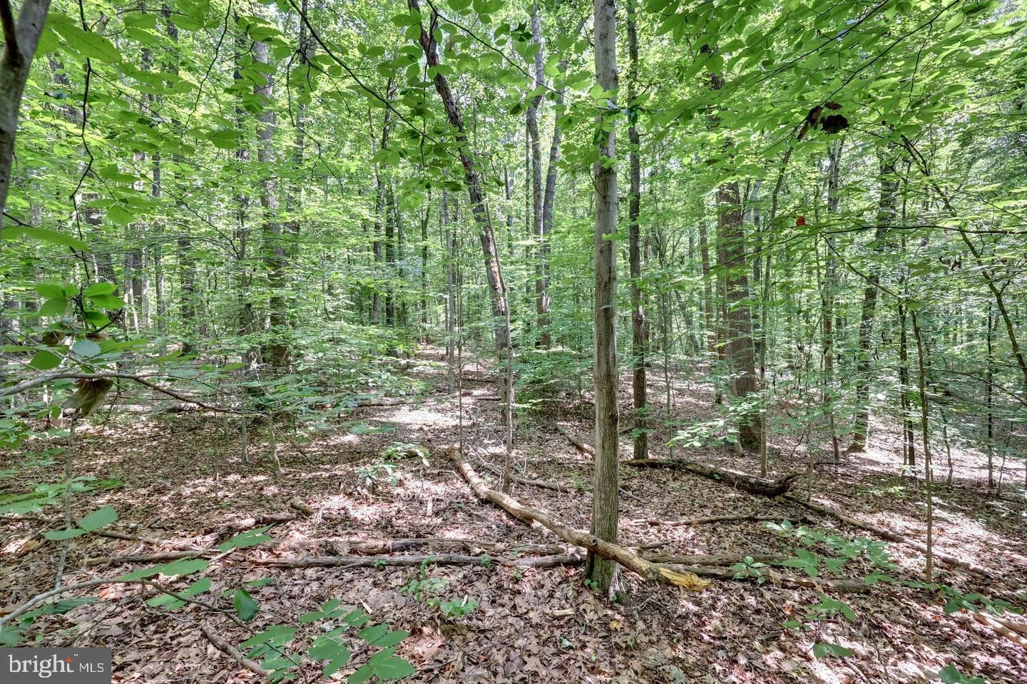 7823 Willowbrook Rd, Fairfax Station, VA, 22039