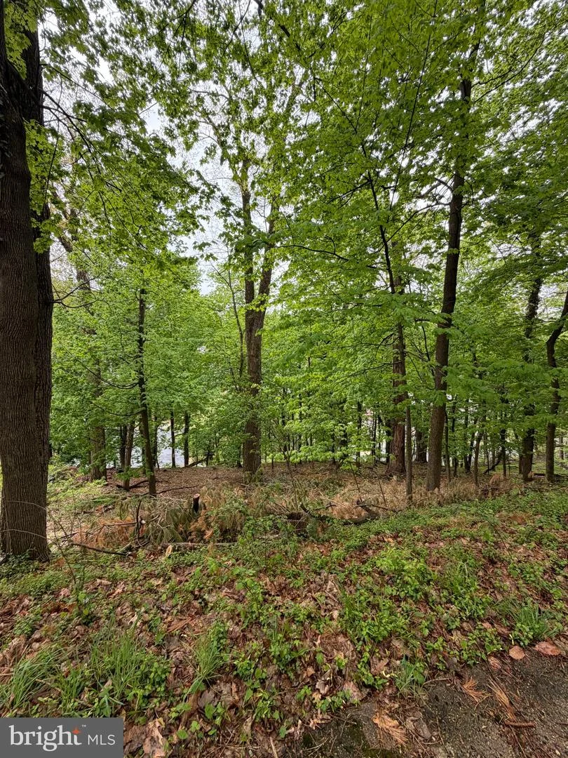 1707 Mineral Spring Road