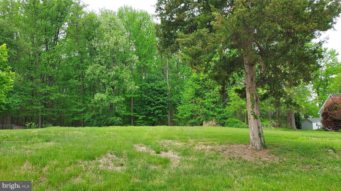 395 Hazelmoor Drive, Earleville, MD, 21919
