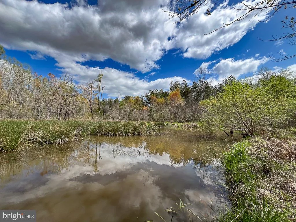 116.32 Acres Gilliam Mill Road