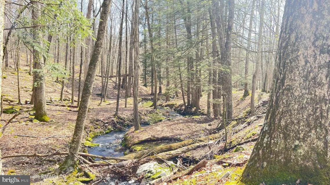 Lot 155 Tinkwig Drive, Lackawaxen, PA, 18435
