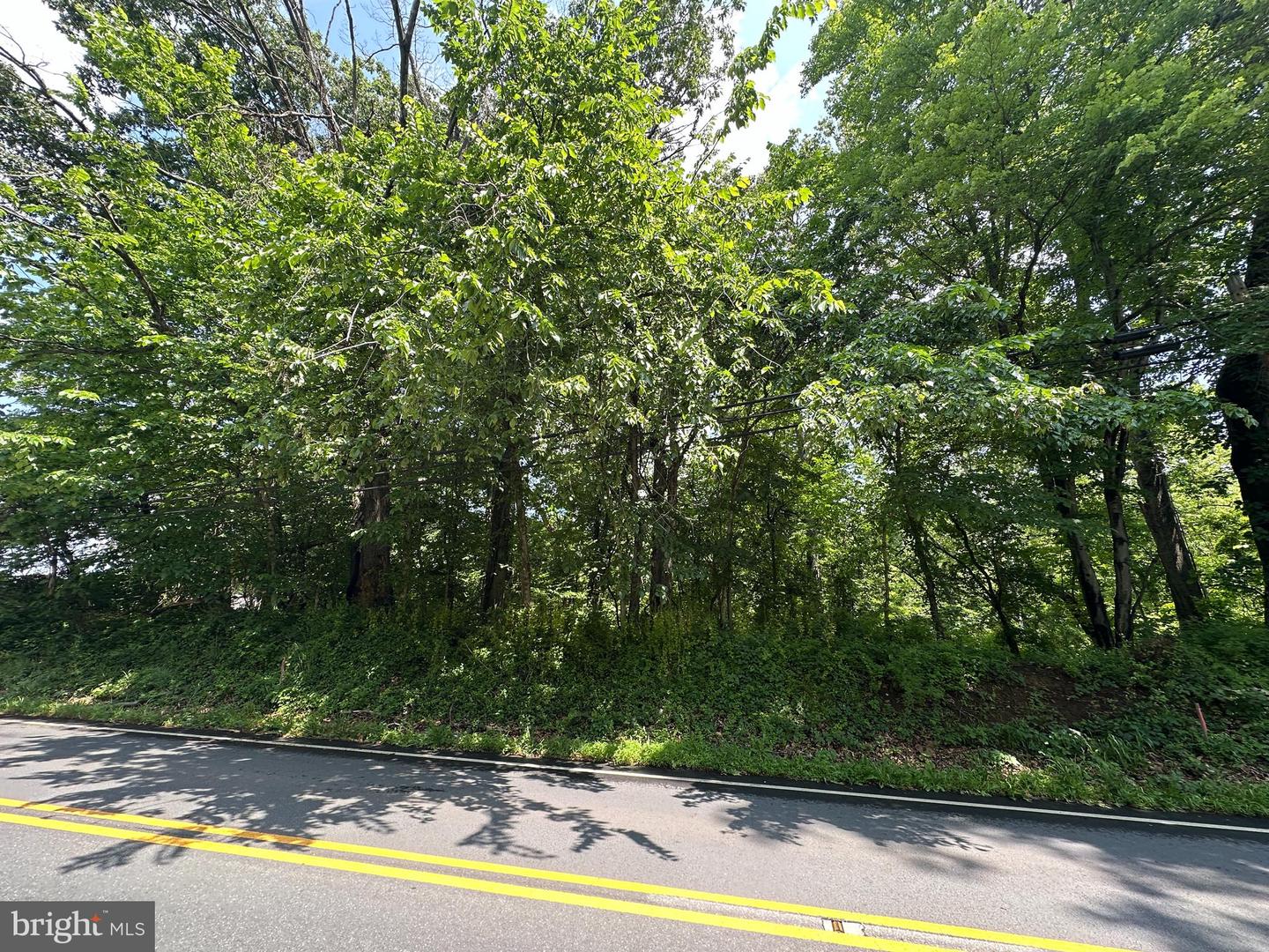 TRACT 1: .15+/- ACRES Lot 107 W Potomac St St, Brunswick, MD, 21716