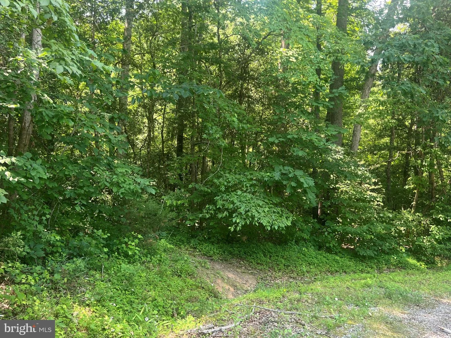 5517 Forest View Drive, Partlow, VA, 22534