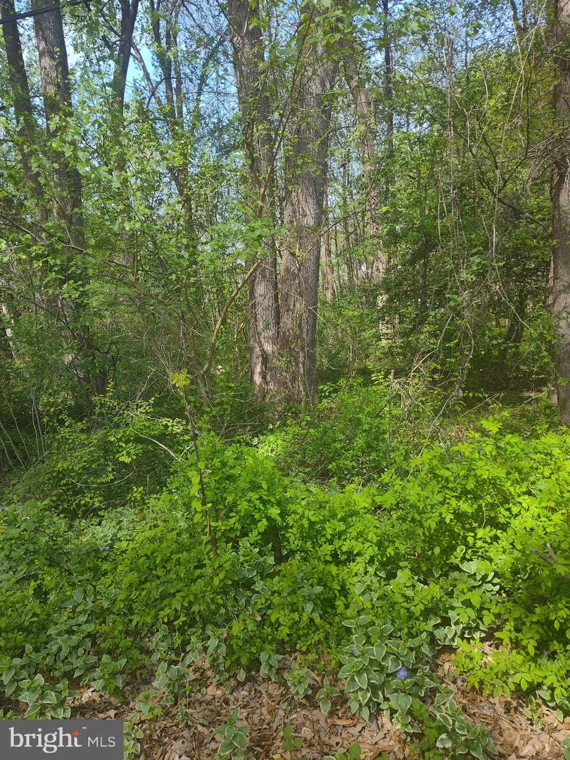 Georgetown Road SE