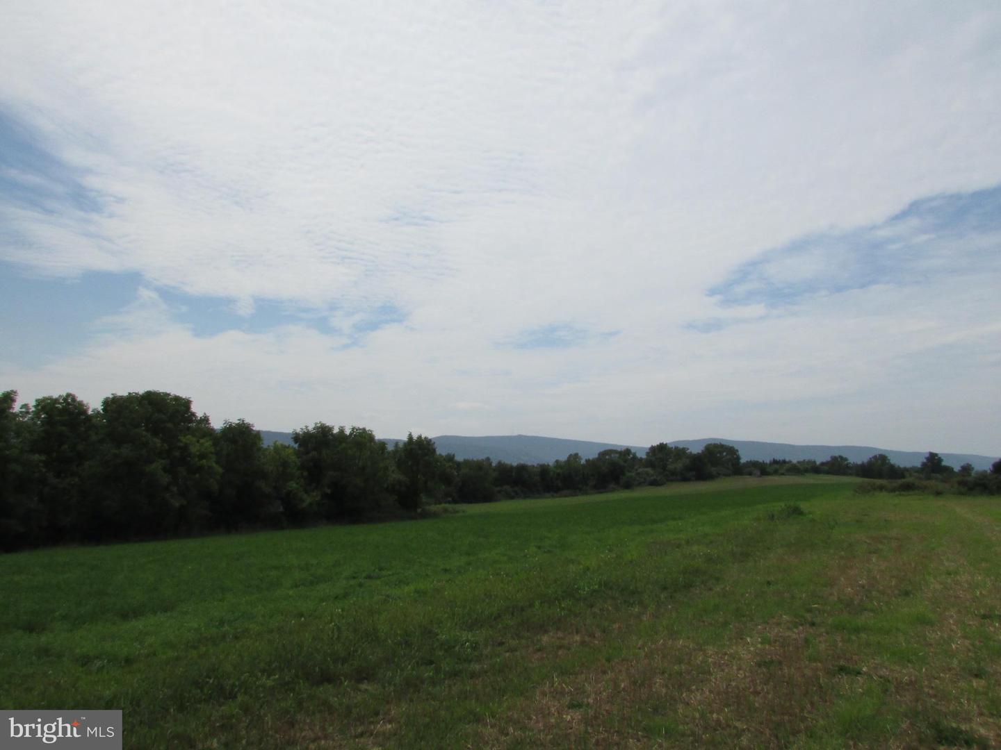 Upper Brush Valley Road, Centre Hall, Pennsylvania image 12