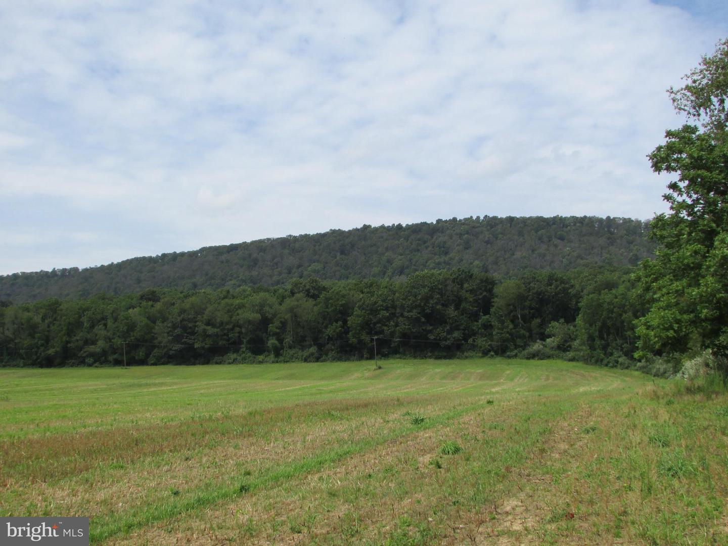 Upper Brush Valley Road, Centre Hall, Pennsylvania image 9