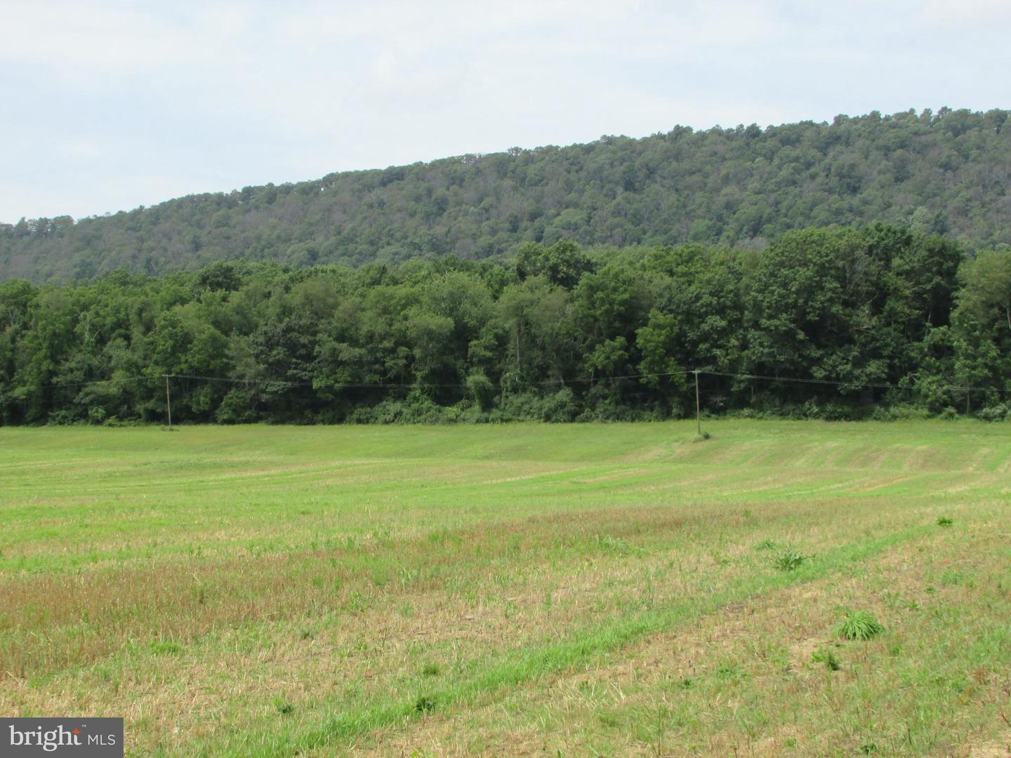 Upper Brush Valley Road, Centre Hall, Pennsylvania image 7