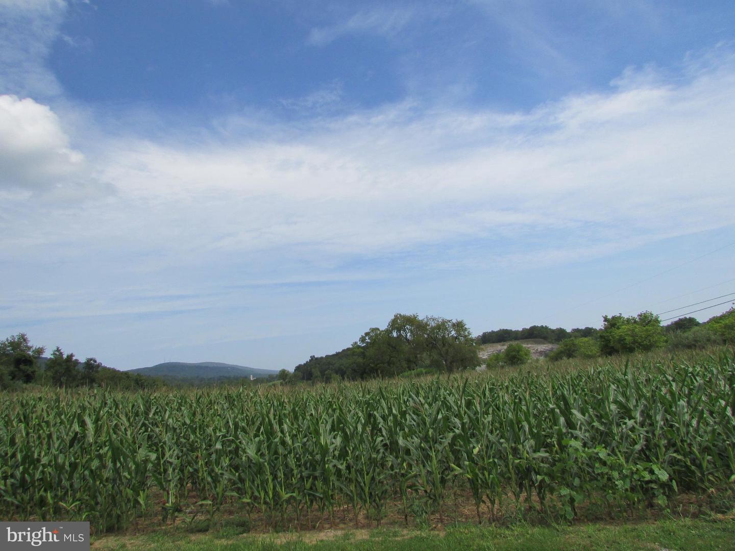 Upper Brush Valley Road, Centre Hall, Pennsylvania image 3