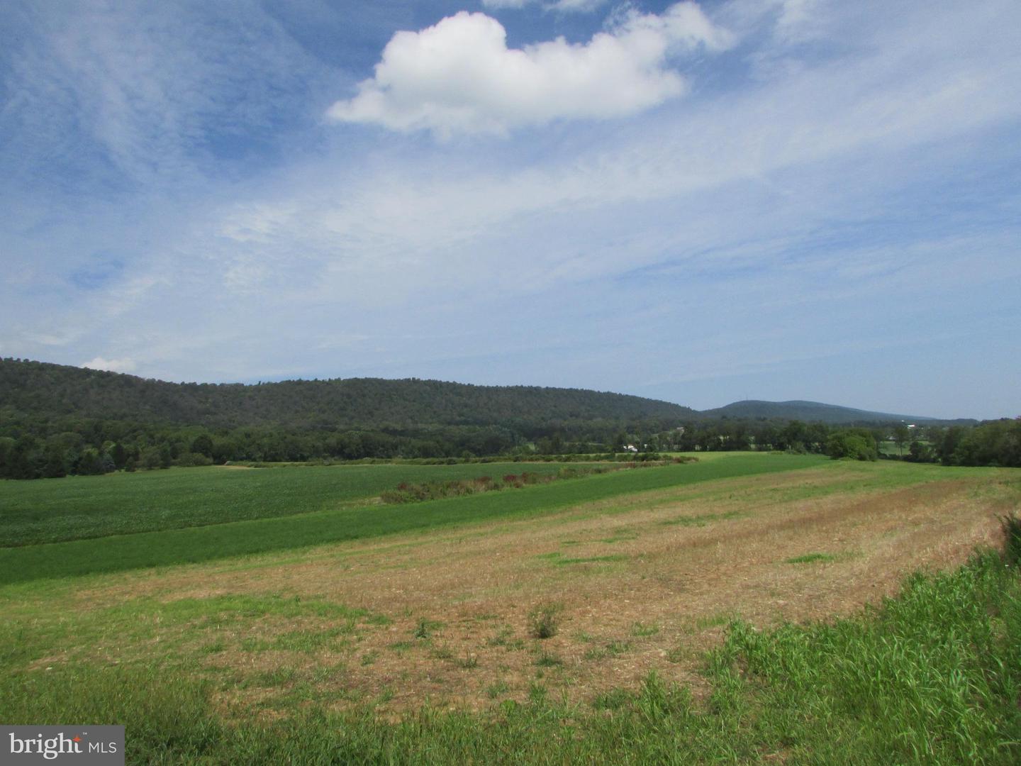 Upper Brush Valley Road, Centre Hall, Pennsylvania image 10