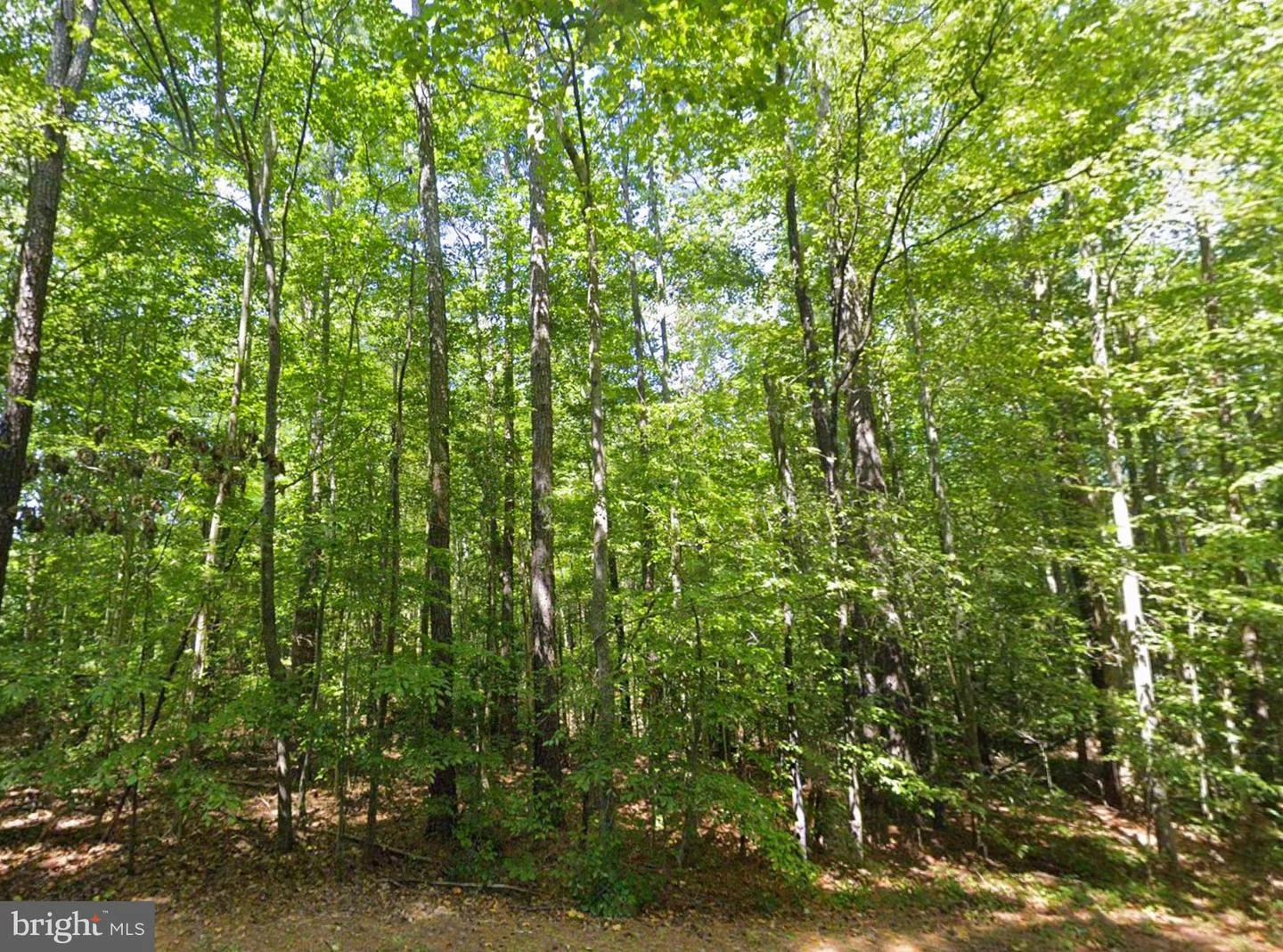8944 Jessie Dupont Memorial Highway, Kilmarnock, VA, 22482