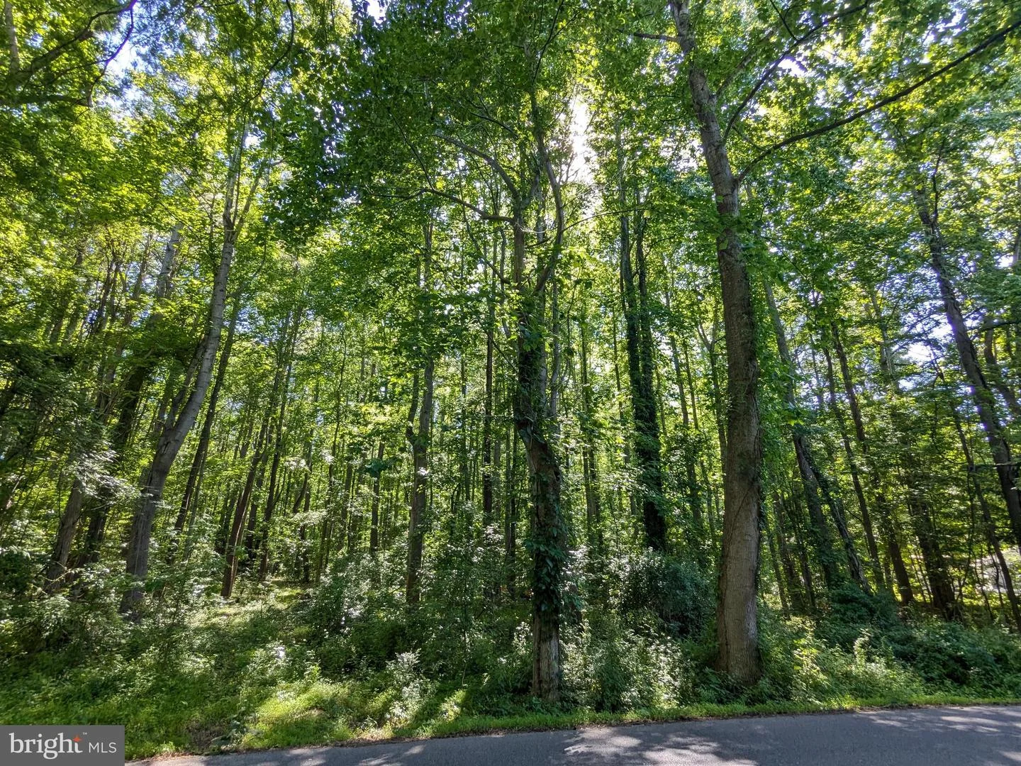 1260 Lottie Fowler Road