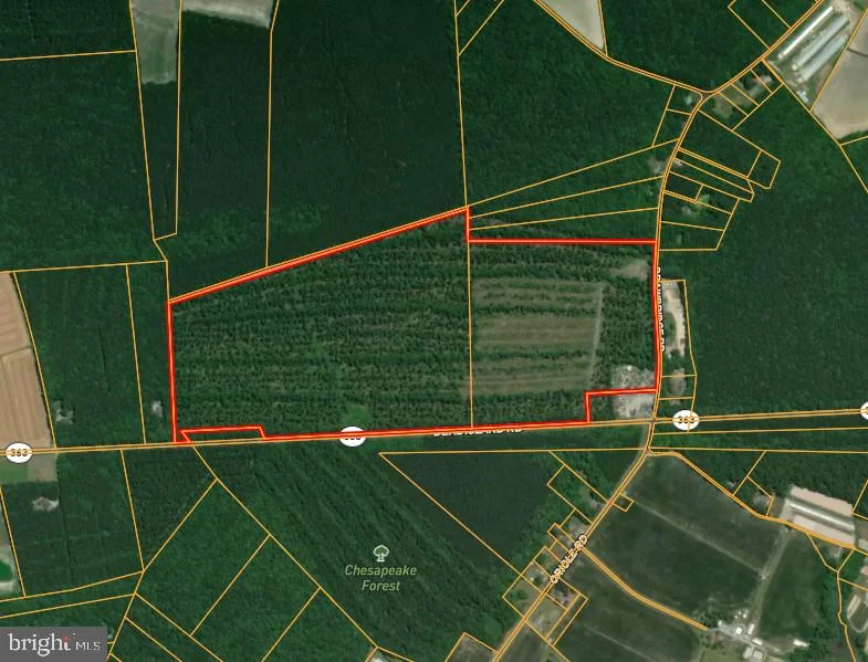 0 Deal Island Road, Princess Anne, MD, 21853