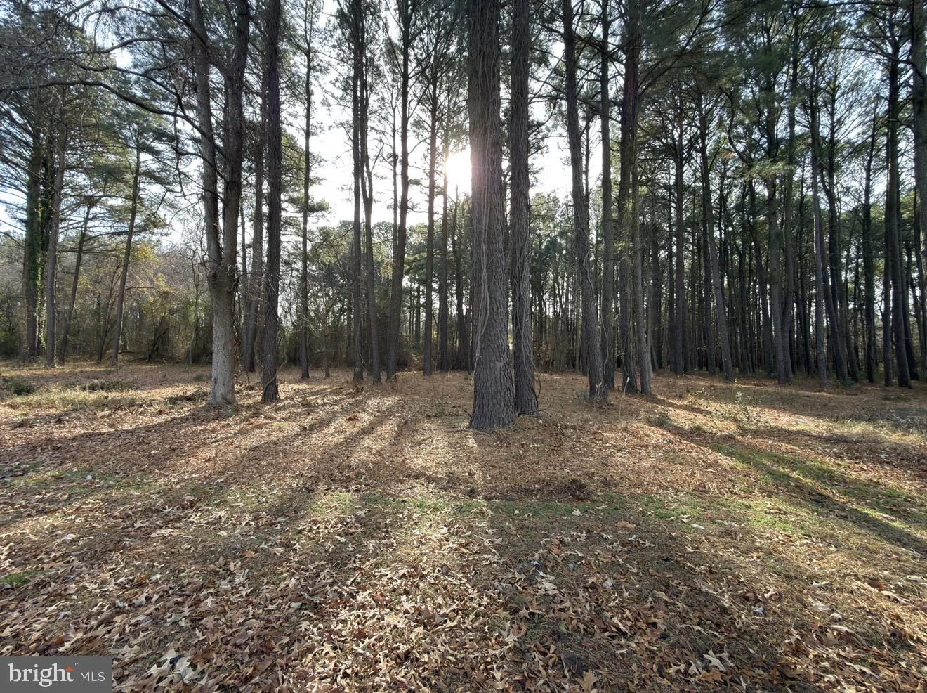 0 Keen Road, Deal Island, MD, 21821