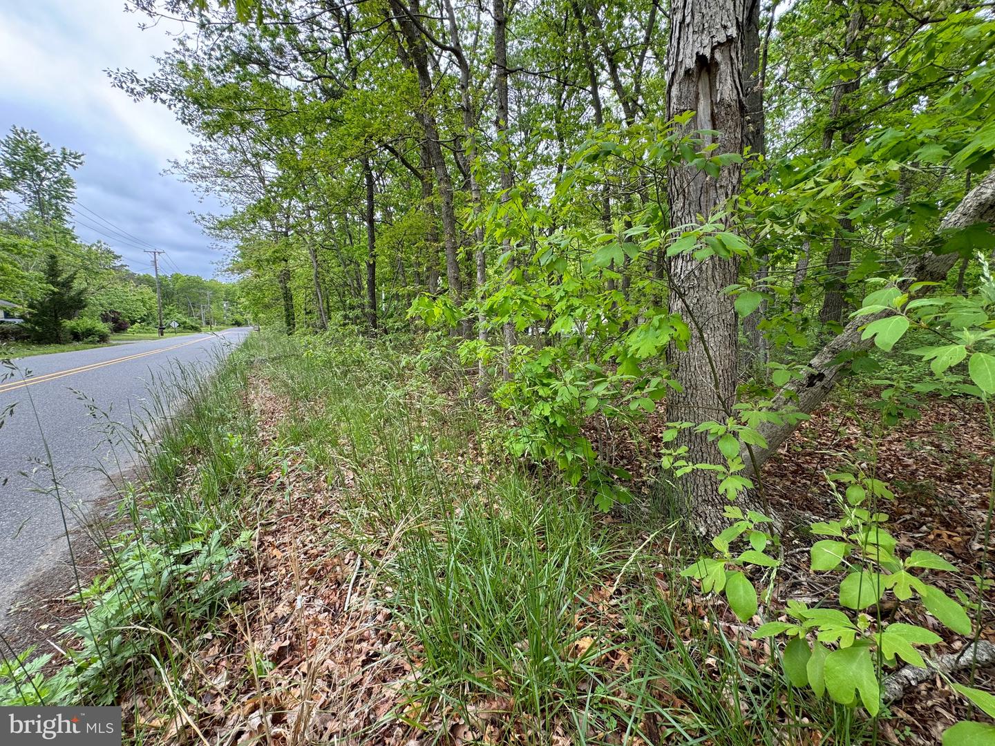 L15 02 Ash Avenue, Galloway, New Jersey image 3