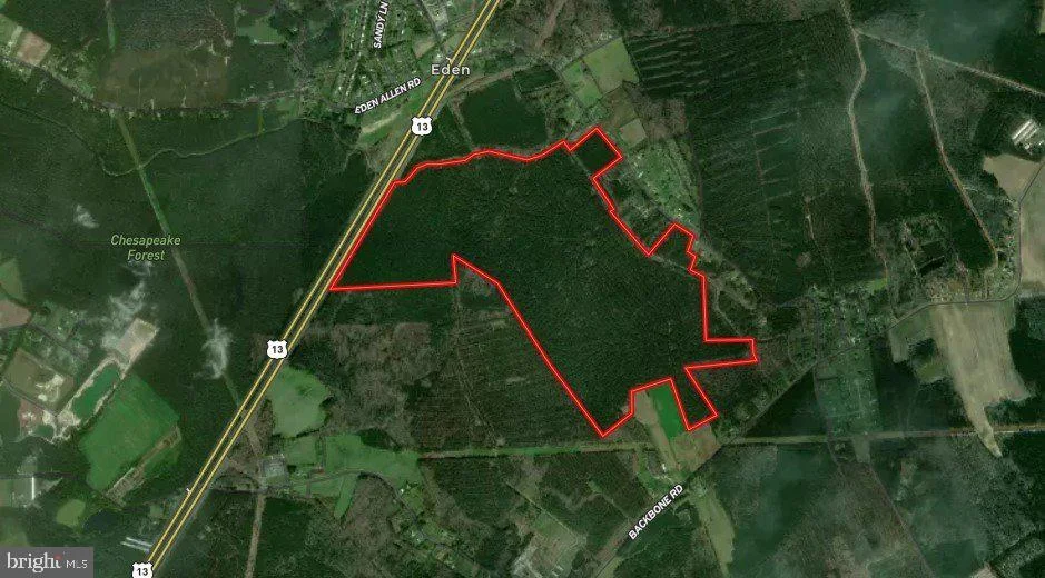 Flower Hill Church Road, Eden, MD, 21822