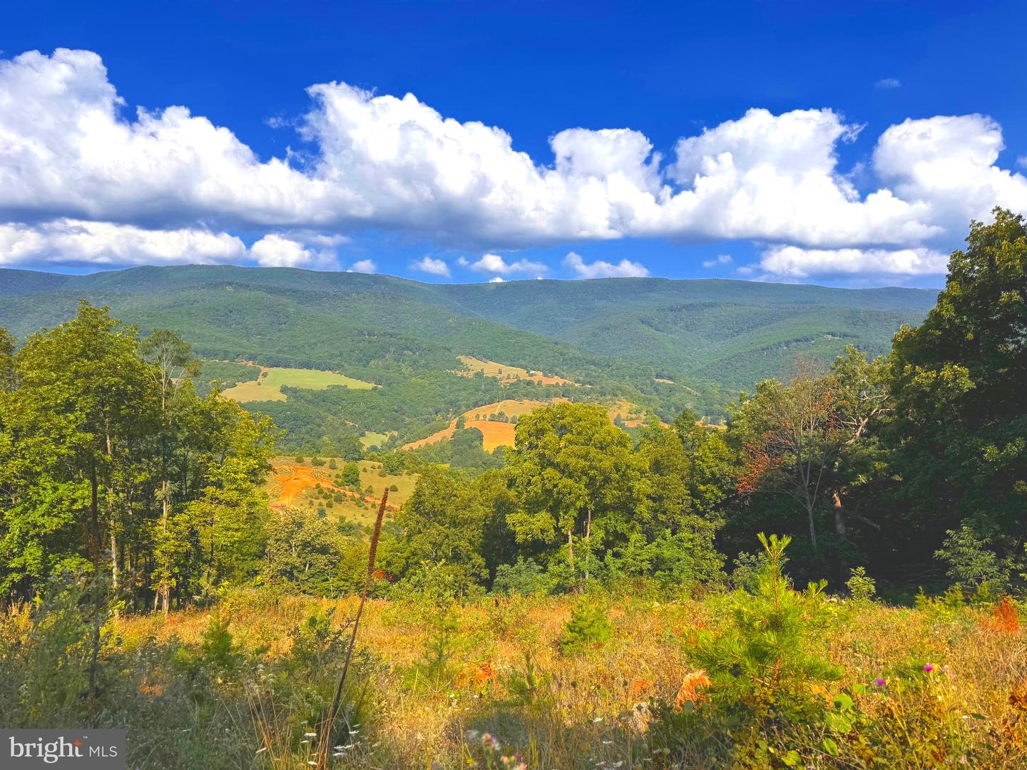 Jordan Run Road, Maysville, West Virginia image 1