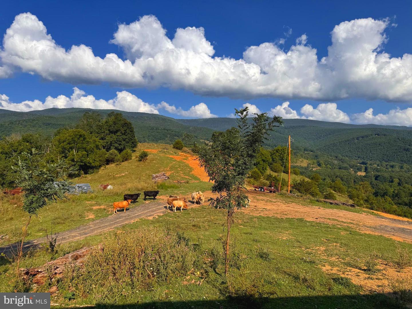 Jordan Run Road, Maysville, West Virginia image 4