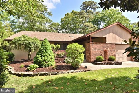 Single Family Residence in Millsboro DE 113 Millers RUN 35.jpg