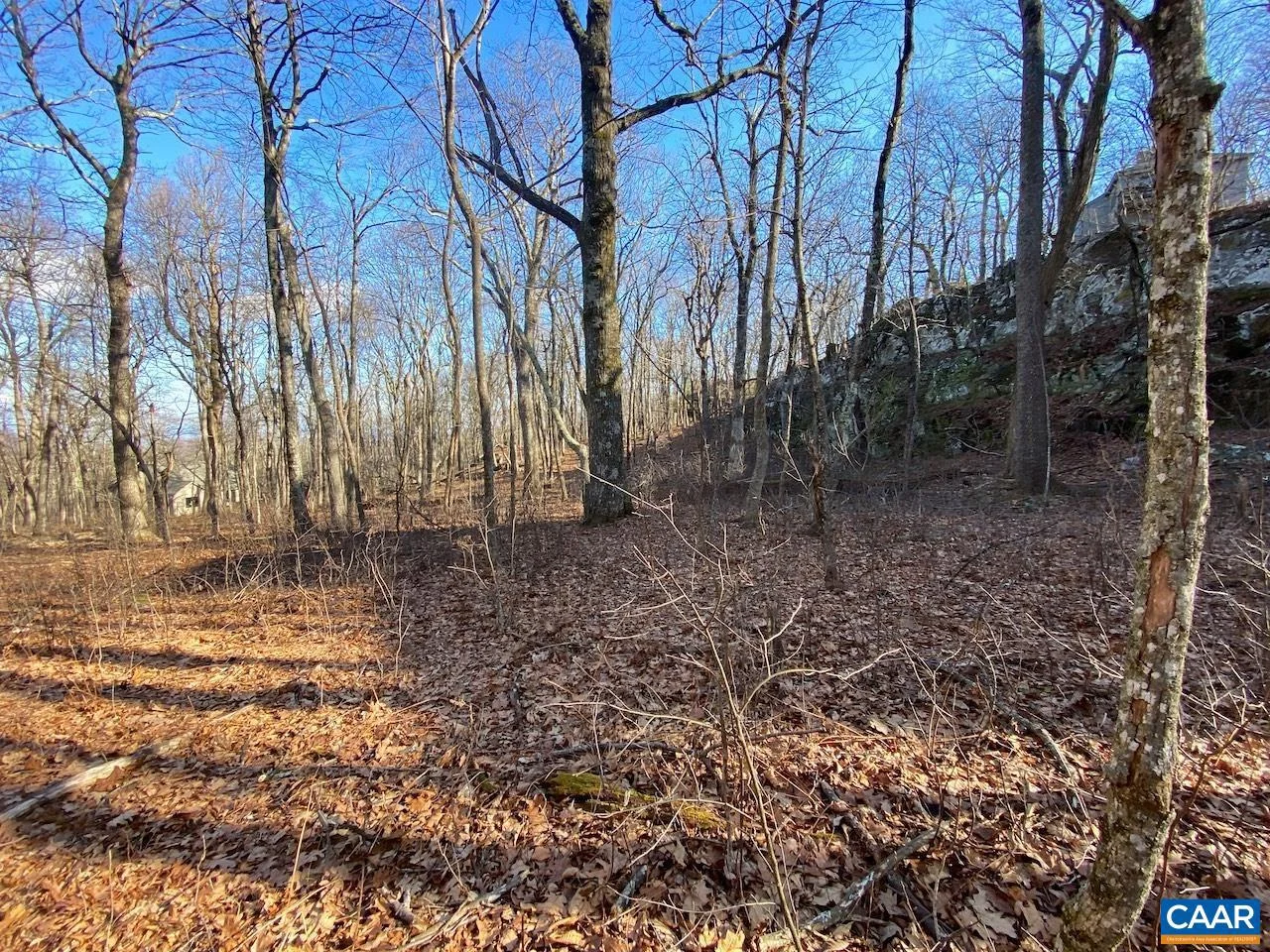 462 Deer Springs Ln Unit 101
