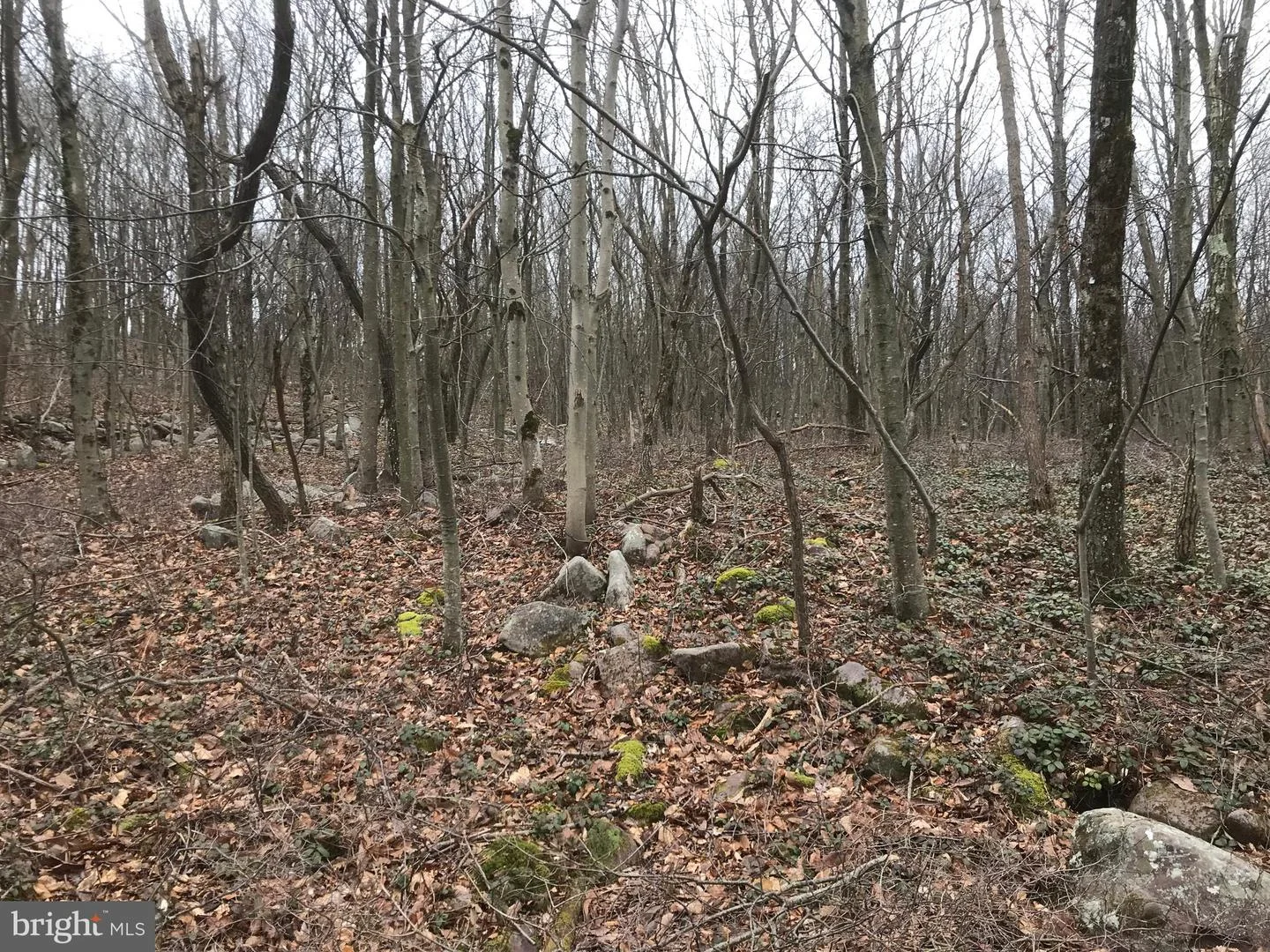 Lot# 367 & 368 Sparrow Lane, Jim Thorpe, PA, 18229