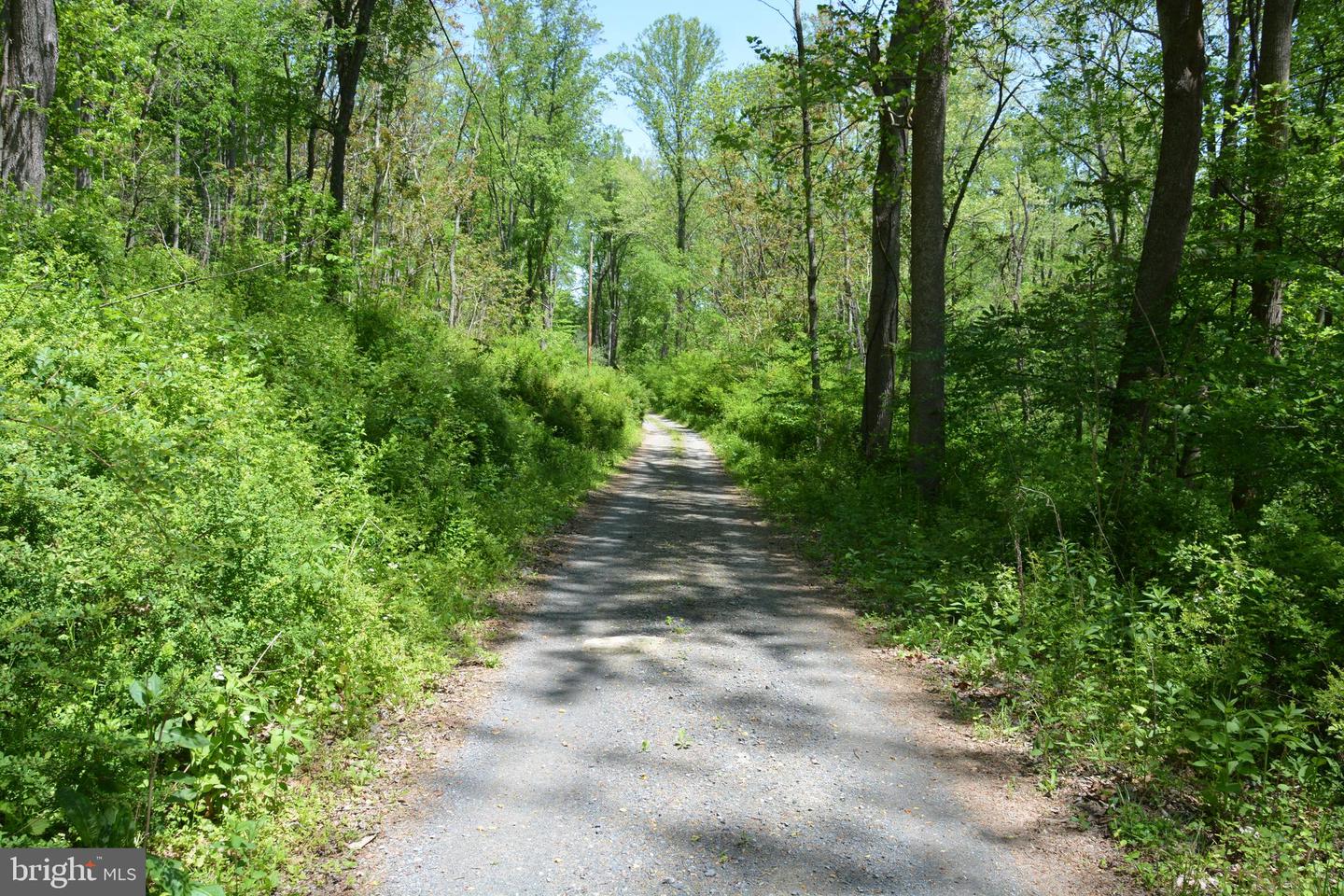 Photo 15 of 26 of Lot #10 Old Mill Rd land