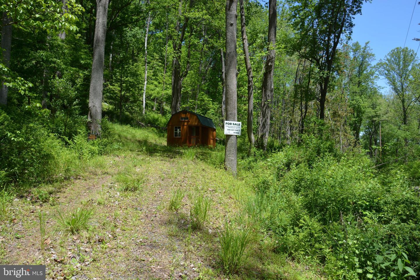 Photo 8 of 26 of Lot #10 Old Mill Rd land