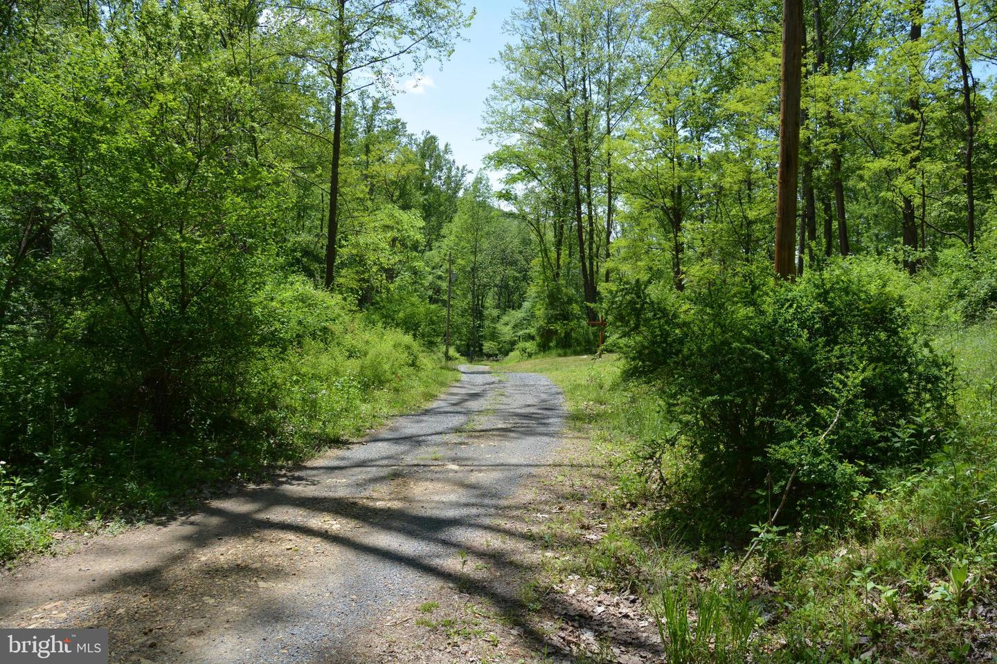 Photo 16 of 26 of Lot #10 Old Mill Rd land