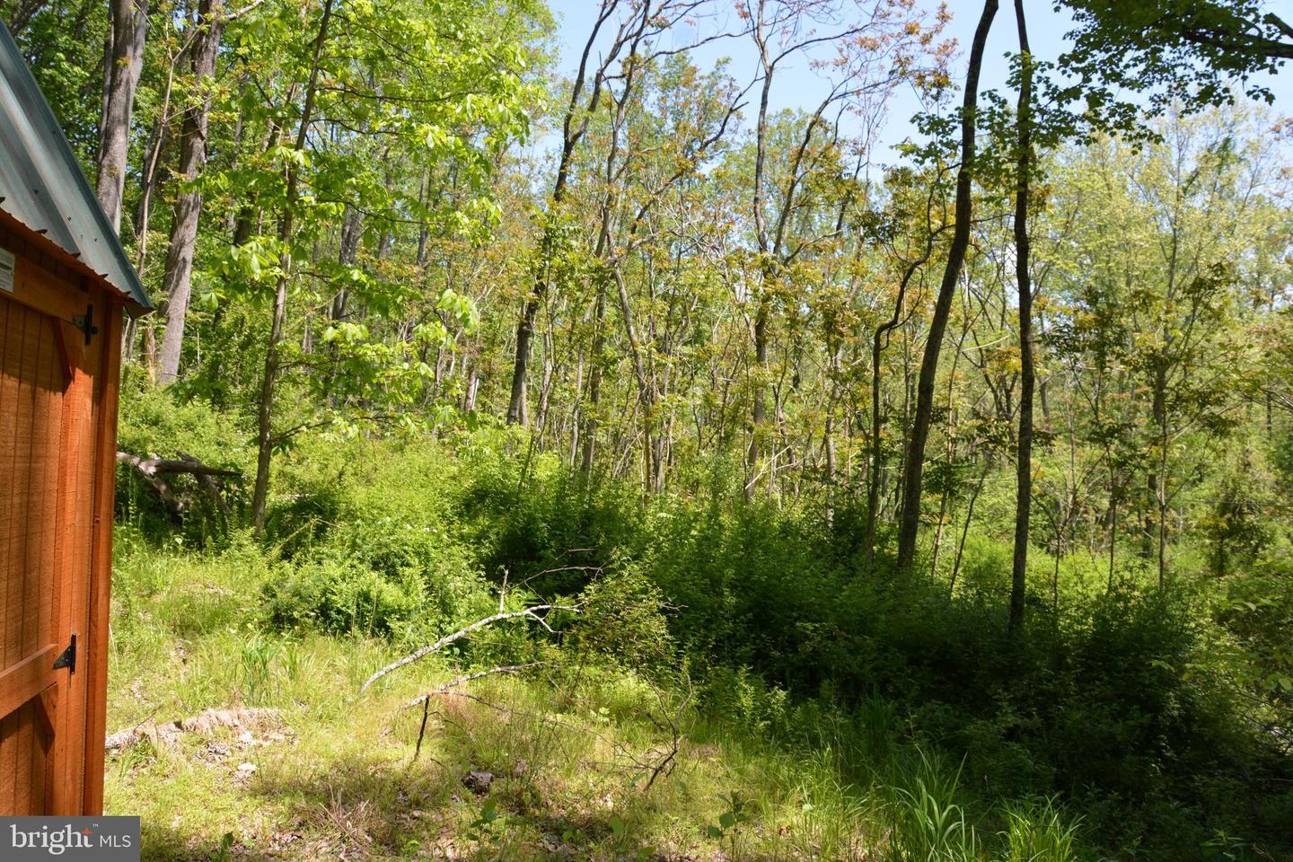 Photo 9 of 26 of Lot #10 Old Mill Rd land